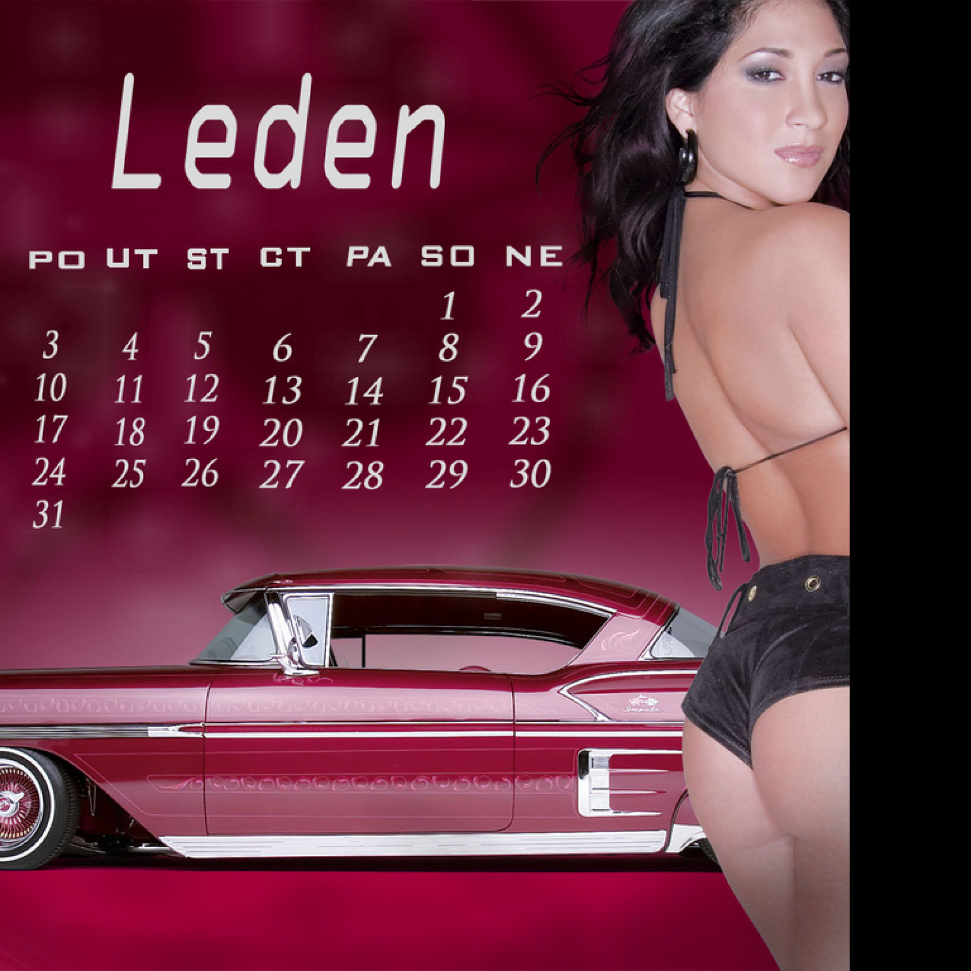 Tapeta kalendar_leden_2011