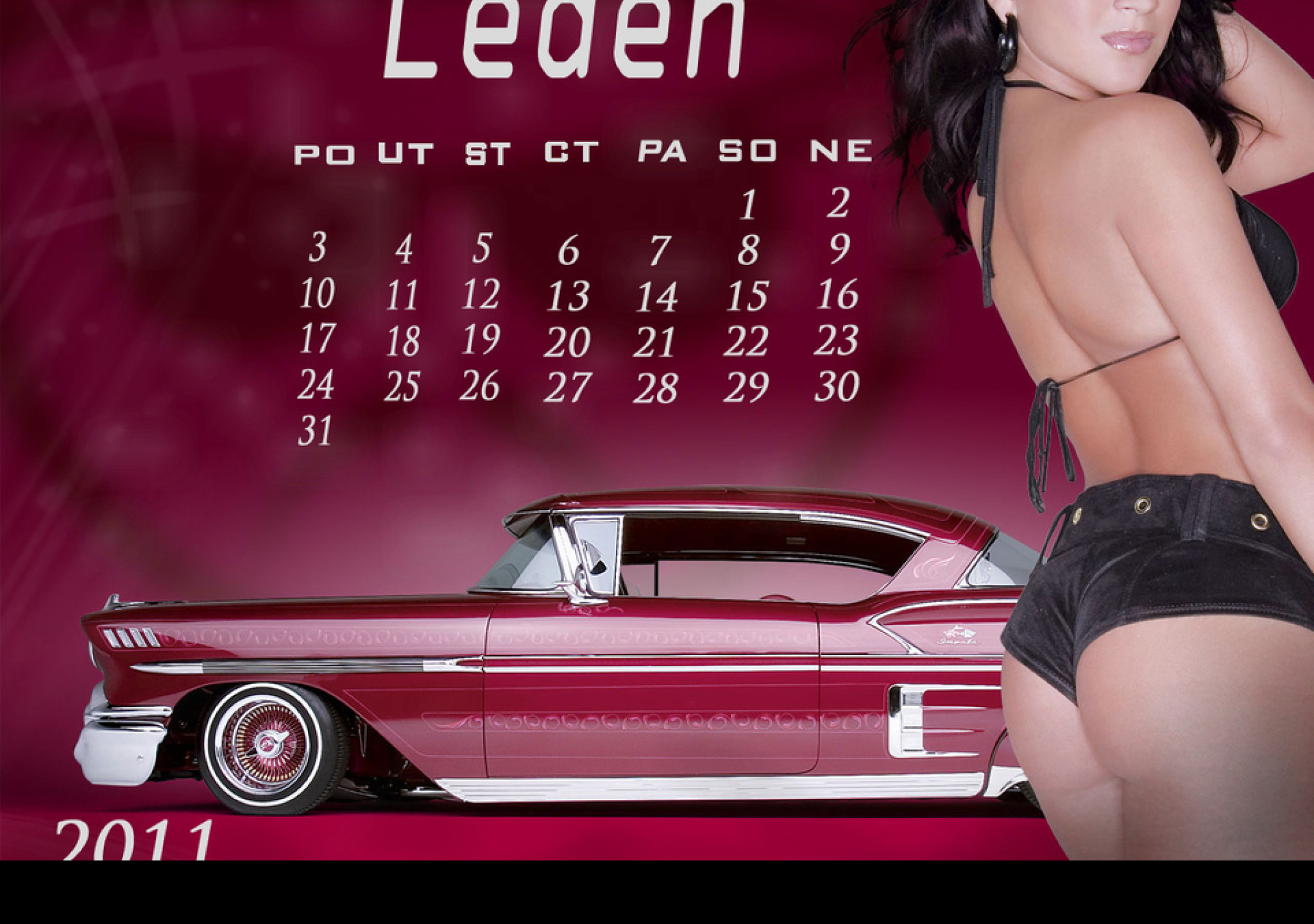 Tapeta kalendar_leden_2011