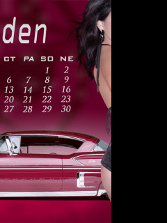 Tapeta kalendar_leden_2011