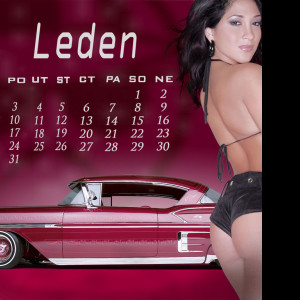 Tapeta kalendar_leden_2011