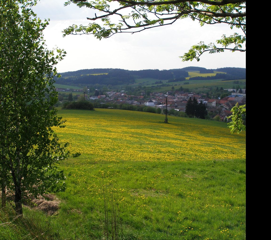 Tapeta kamenice_louka_pod_vrchy