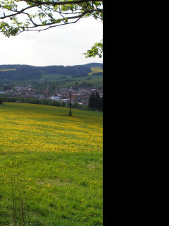 Tapeta kamenice_louka_pod_vrchy