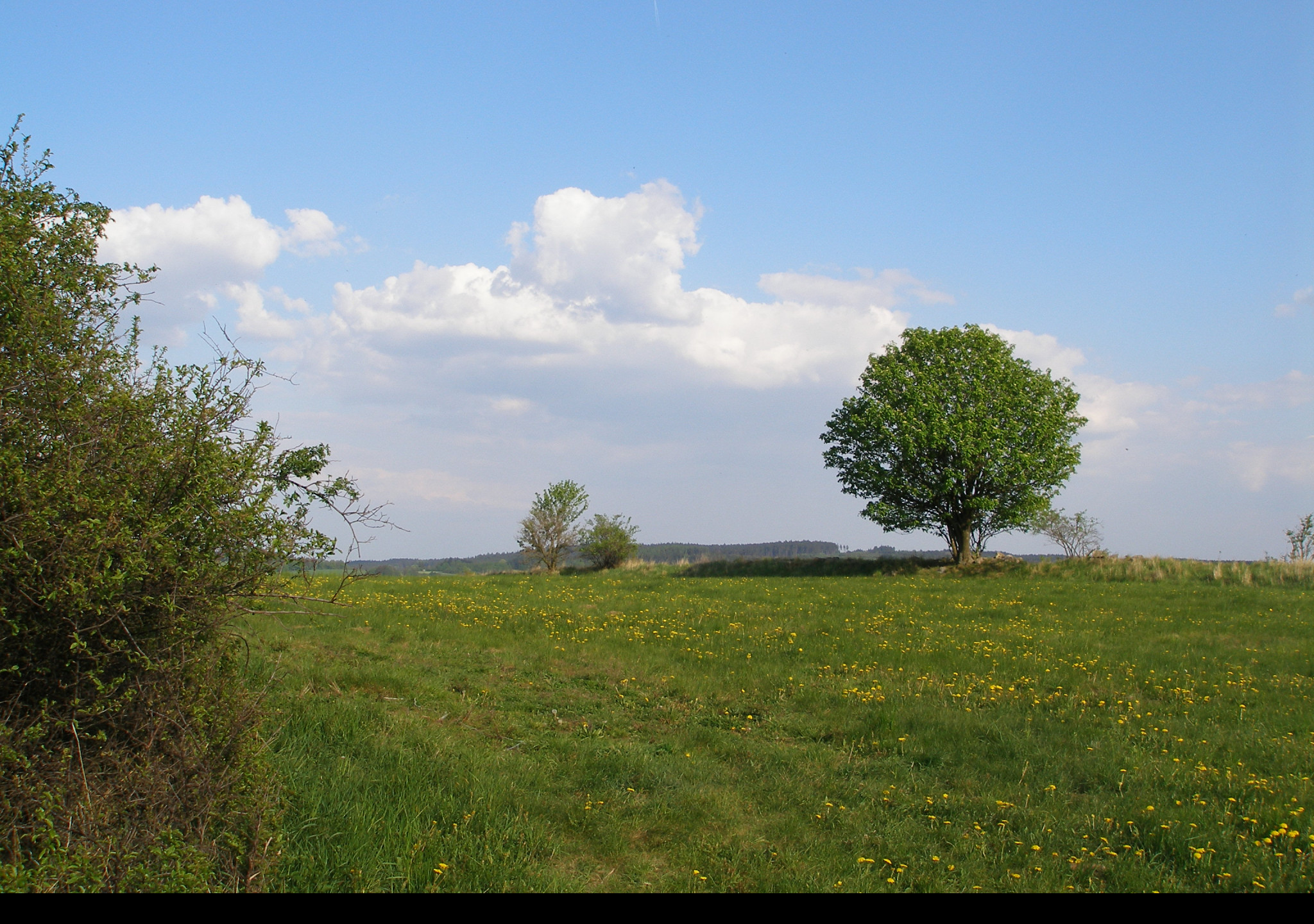 Tapeta kamenice_vrchy_01
