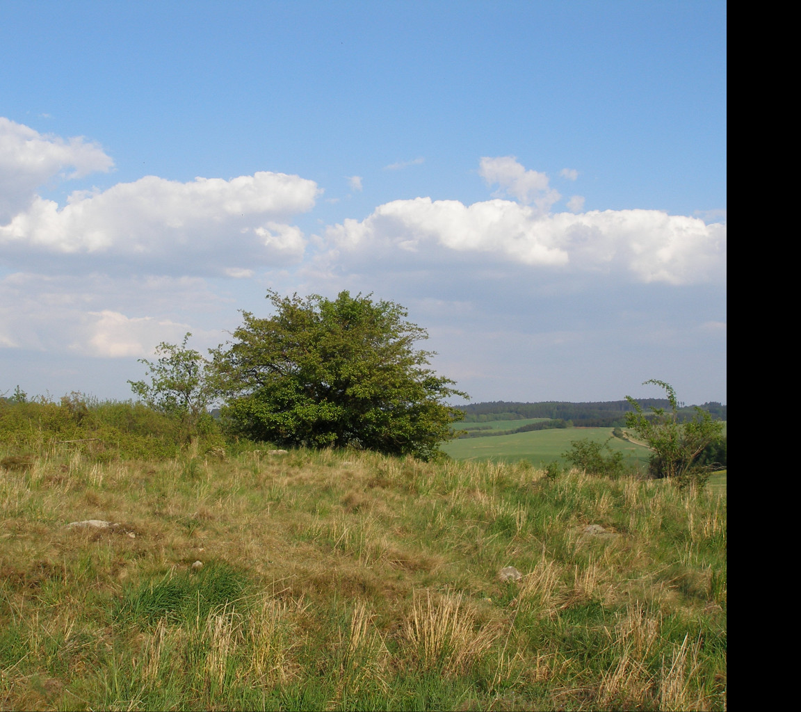 Tapeta kamenice_vrchy_04