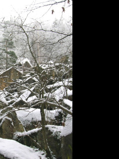 Tapeta kamenne_more_v_zime