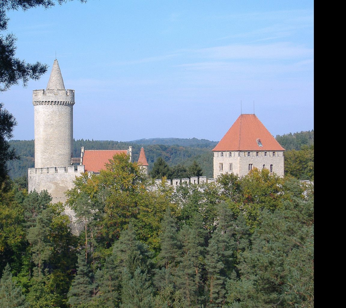 Tapeta kokorin