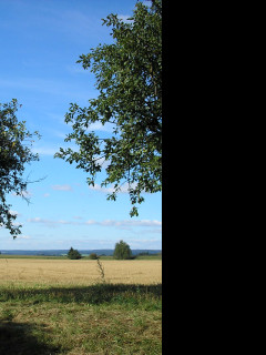 Tapeta kolem_detrichova_17