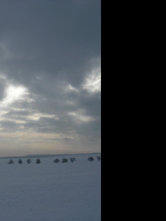 Tapeta kolem_radimere_11