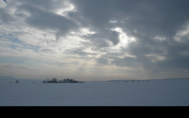 Tapeta kolem_radimere_12