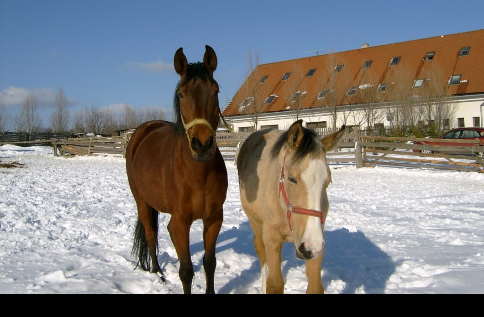 Tapeta kone__2
