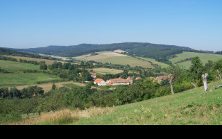 Tapeta konetopy_z_boru