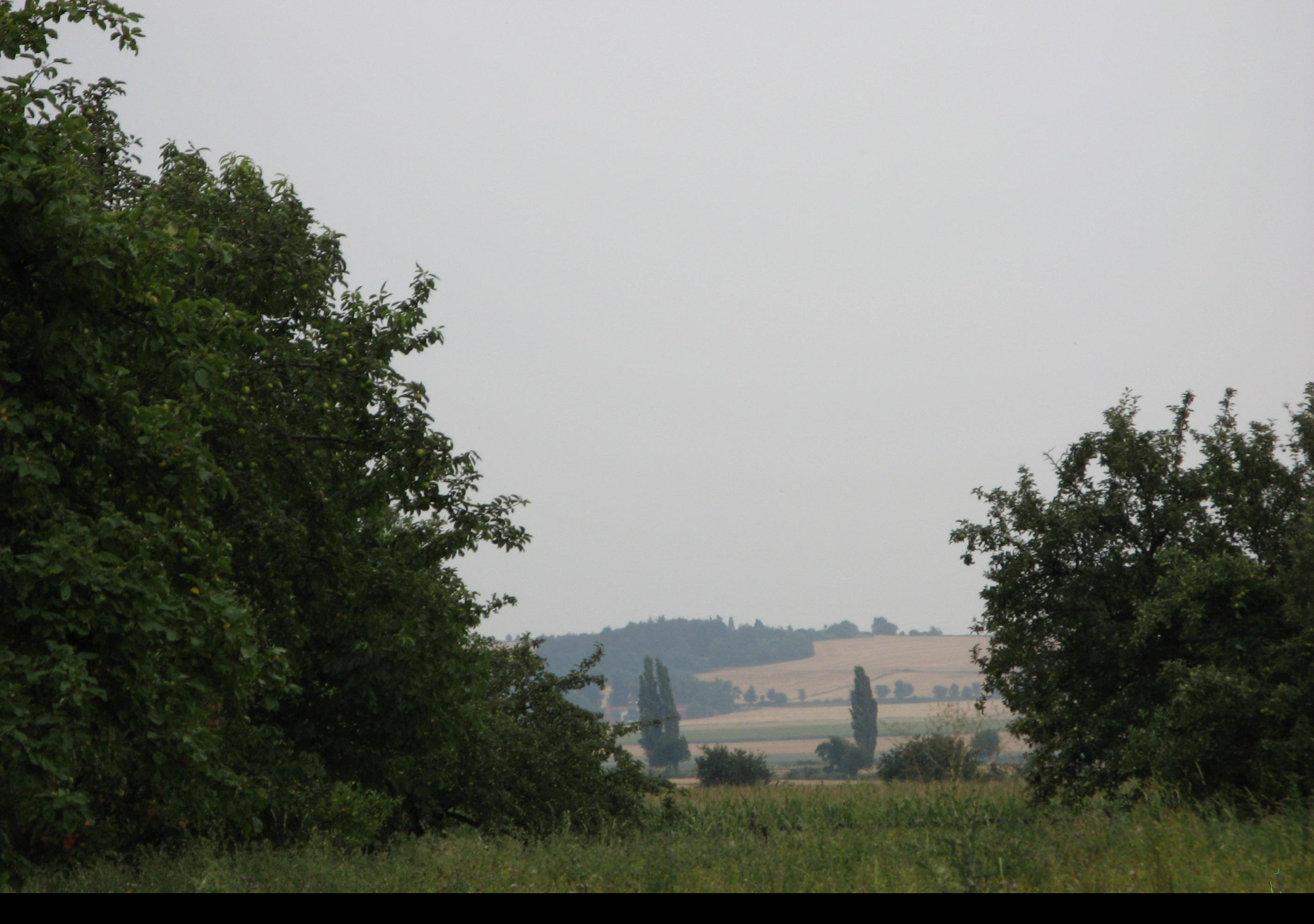 Tapeta krajina_