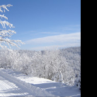 Tapeta krajina_na_skalke_pri_kremnici