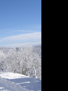 Tapeta krajina_na_skalke_pri_kremnici