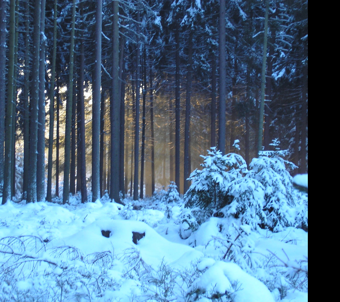 Tapeta krajina_nad_pomezim_01