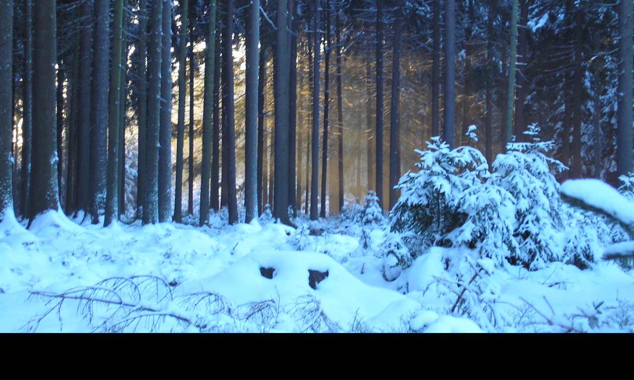 Tapeta krajina_nad_pomezim_01