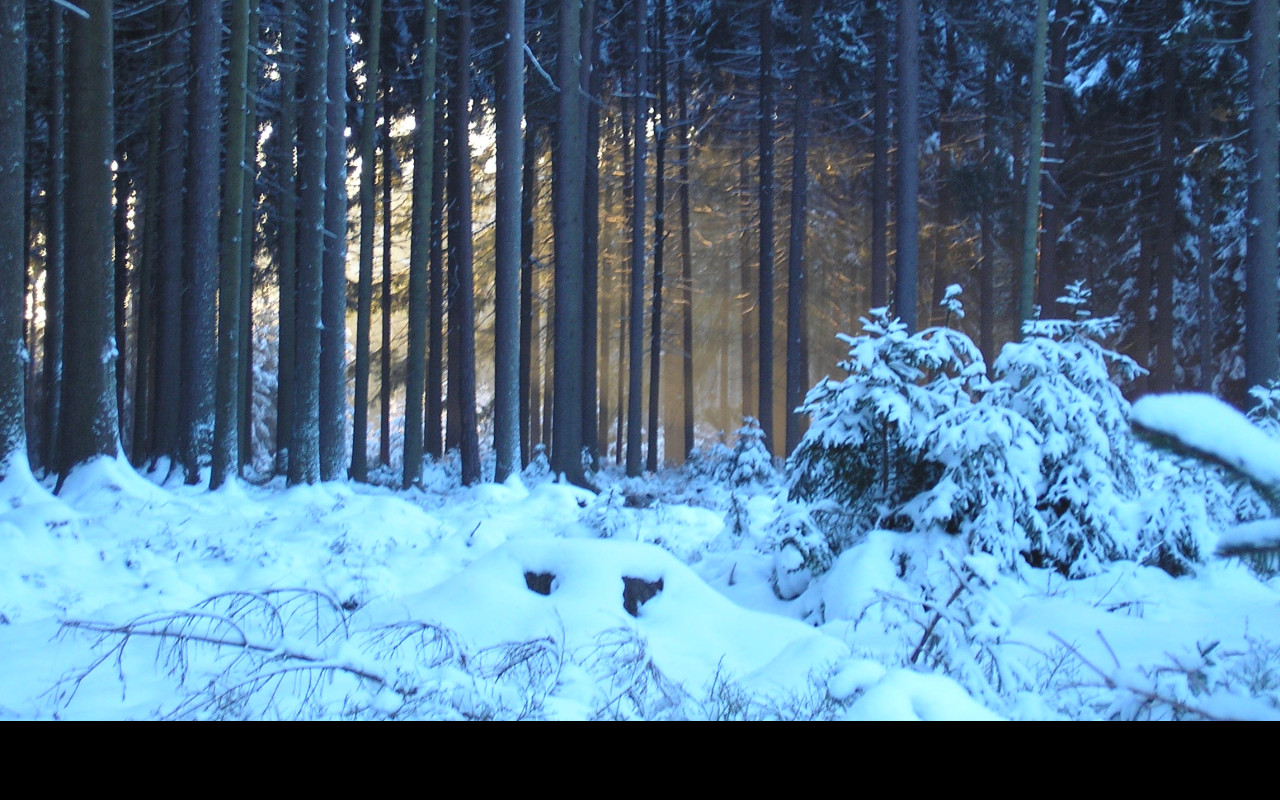 Tapeta krajina_nad_pomezim_01