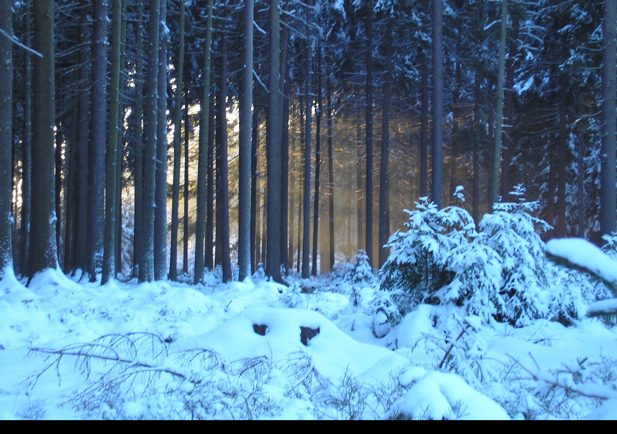 Tapeta krajina_nad_pomezim_01