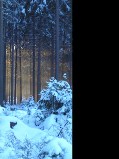 Tapeta krajina_nad_pomezim_01