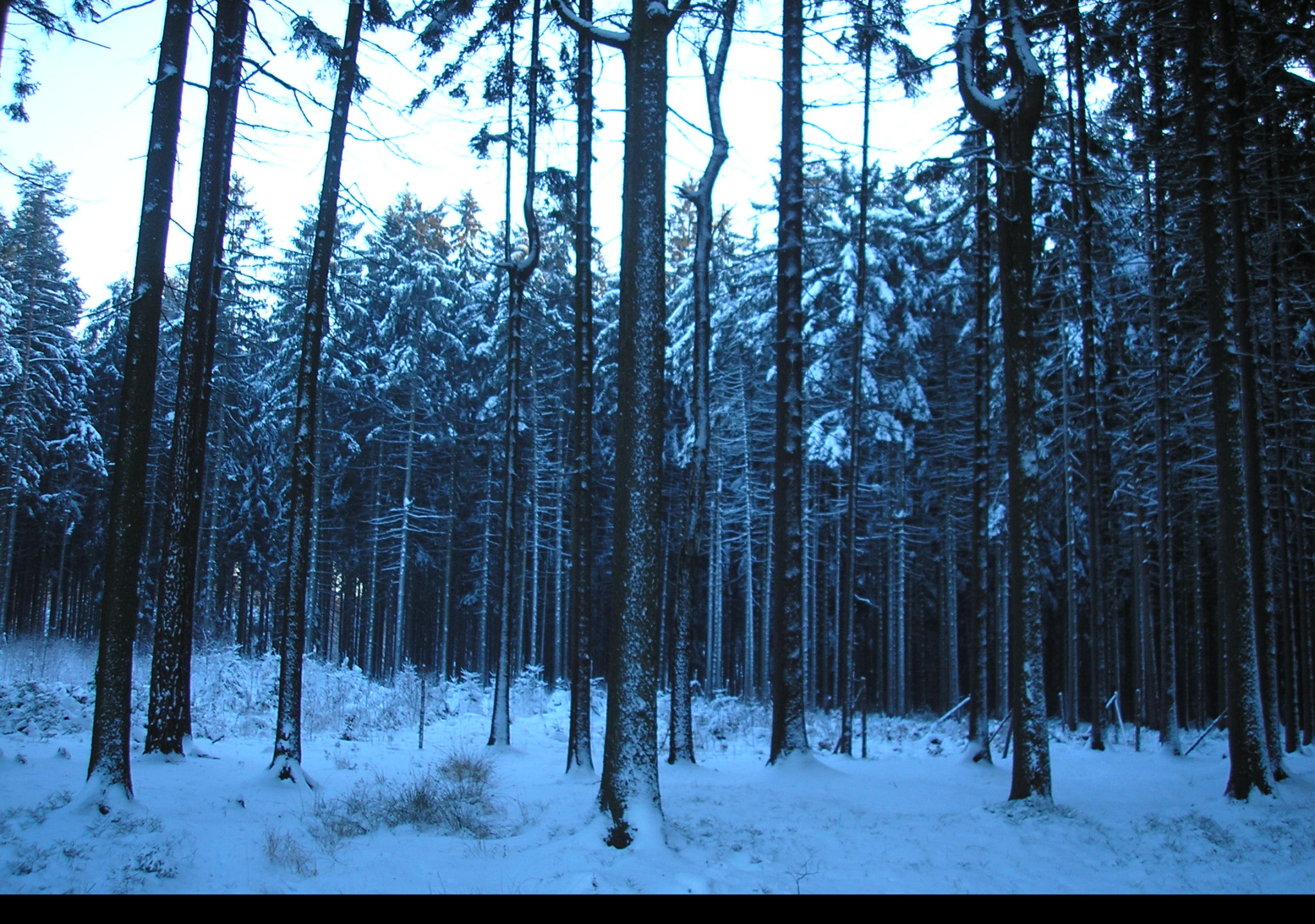 Tapeta krajina_nad_pomezim_02