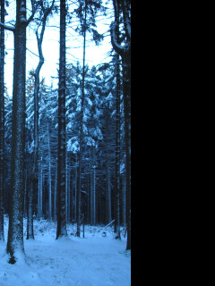 Tapeta krajina_nad_pomezim_02