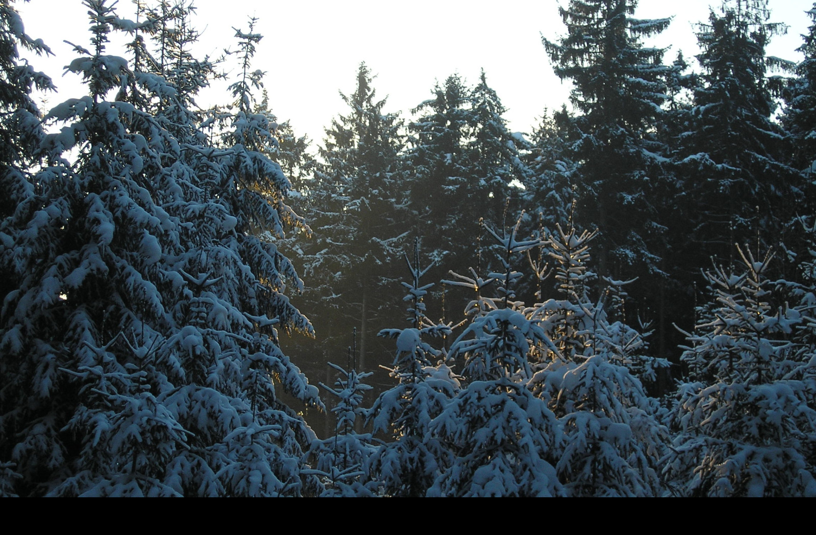 Tapeta krajina_nad_pomezim_05
