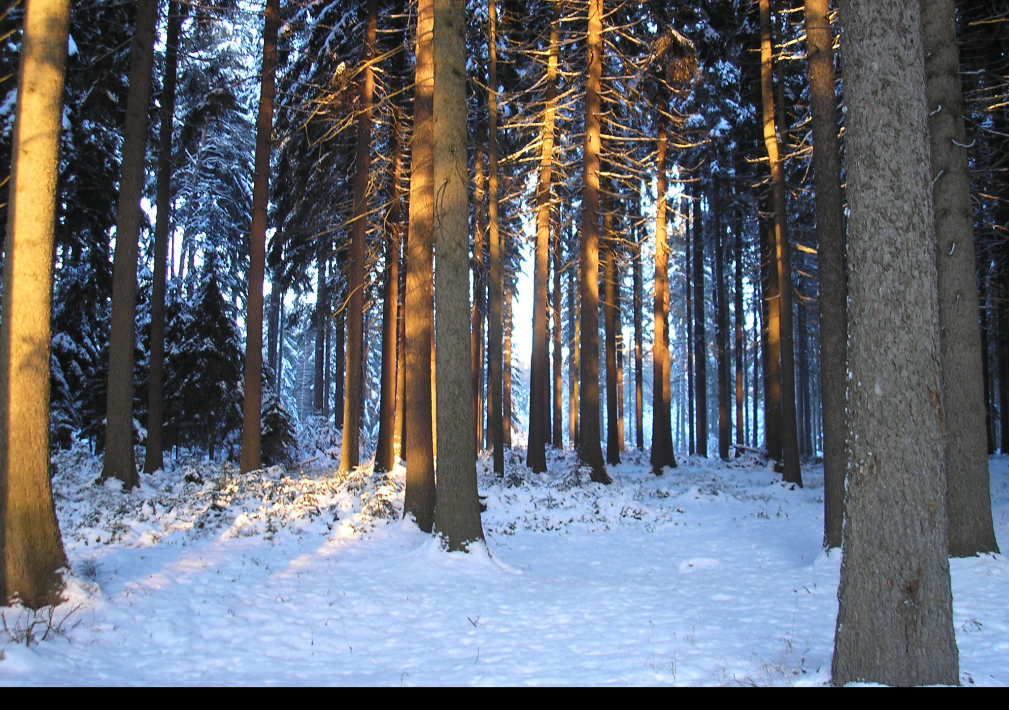 Tapeta krajina_nad_pomezim_06