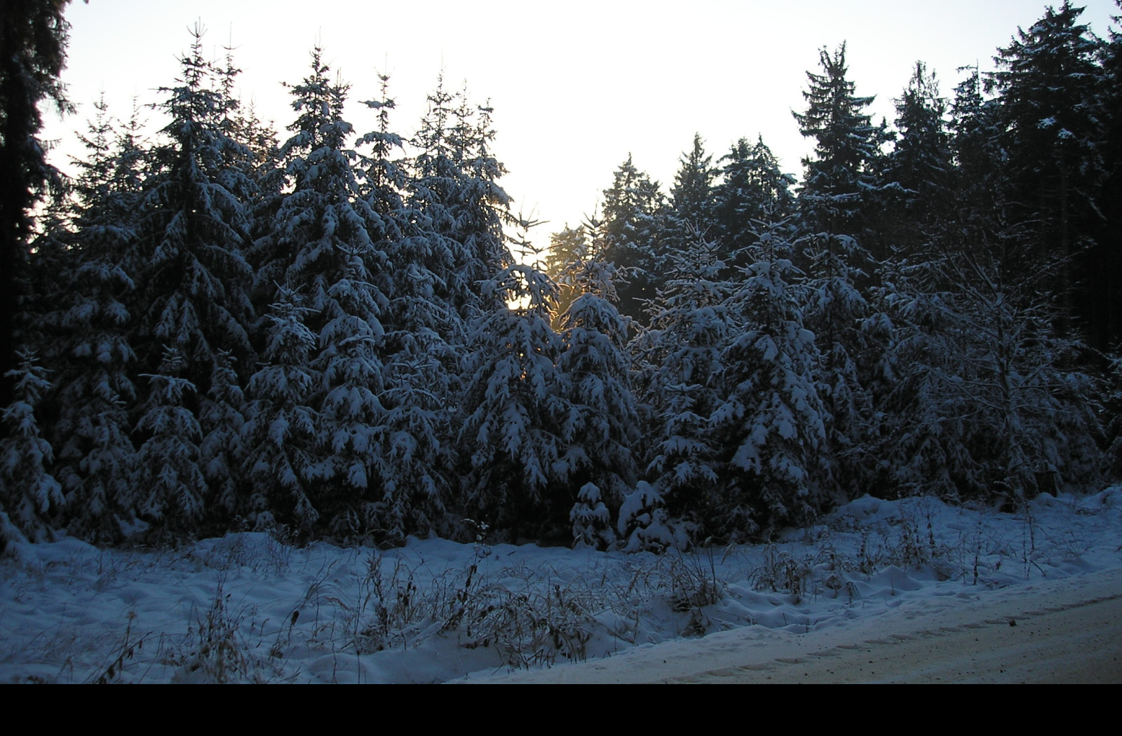 Tapeta krajina_nad_pomezim_09