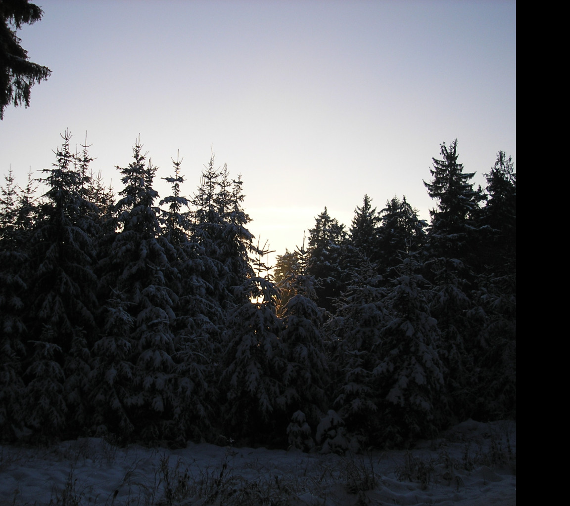 Tapeta krajina_nad_pomezim_10