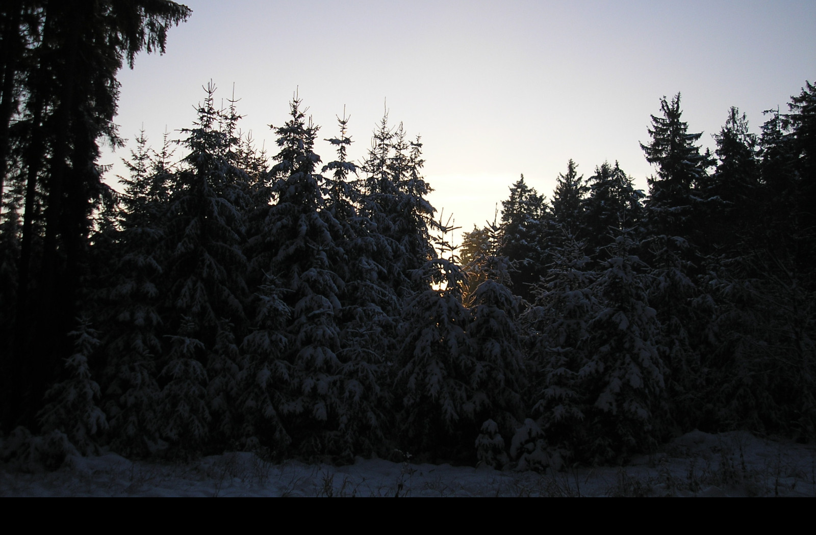 Tapeta krajina_nad_pomezim_10