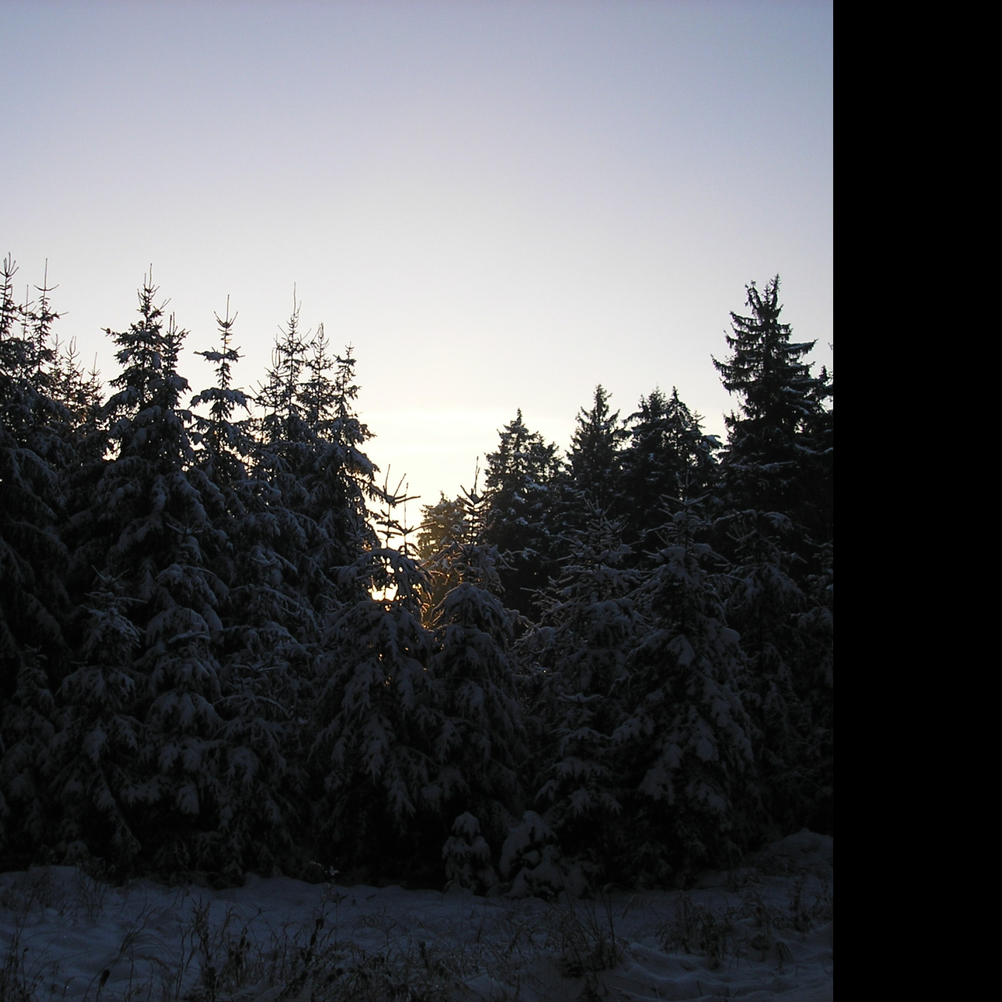 Tapeta krajina_nad_pomezim_10