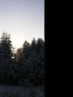 Tapeta krajina_nad_pomezim_10
