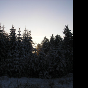 Tapeta krajina_nad_pomezim_10