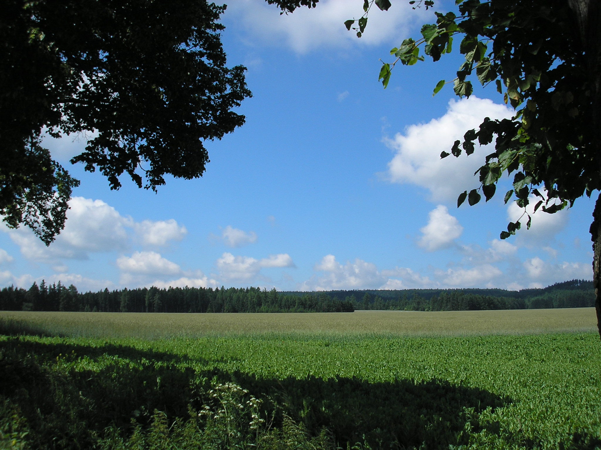 Tapeta krajina_nad_radimeri_1