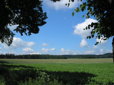 Tapeta: Krajina nad Radim 1