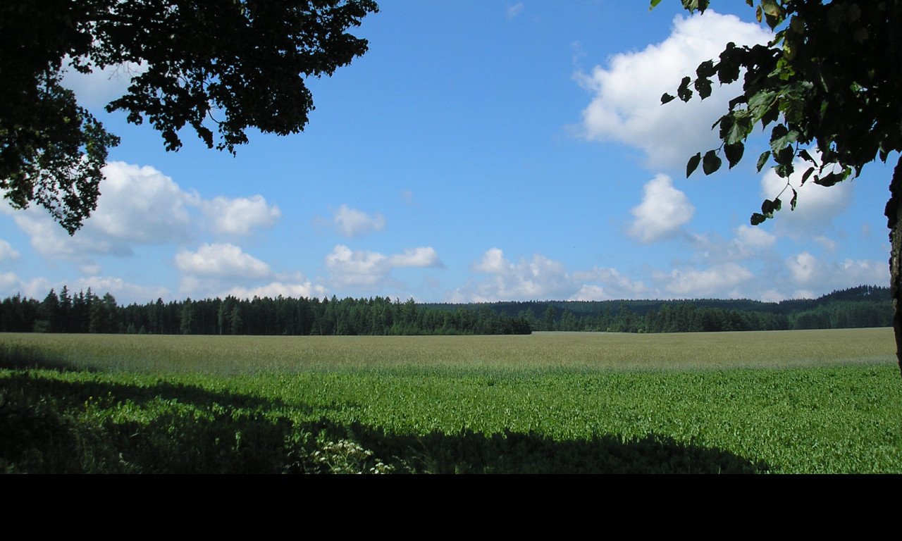 Tapeta krajina_nad_radimeri_1