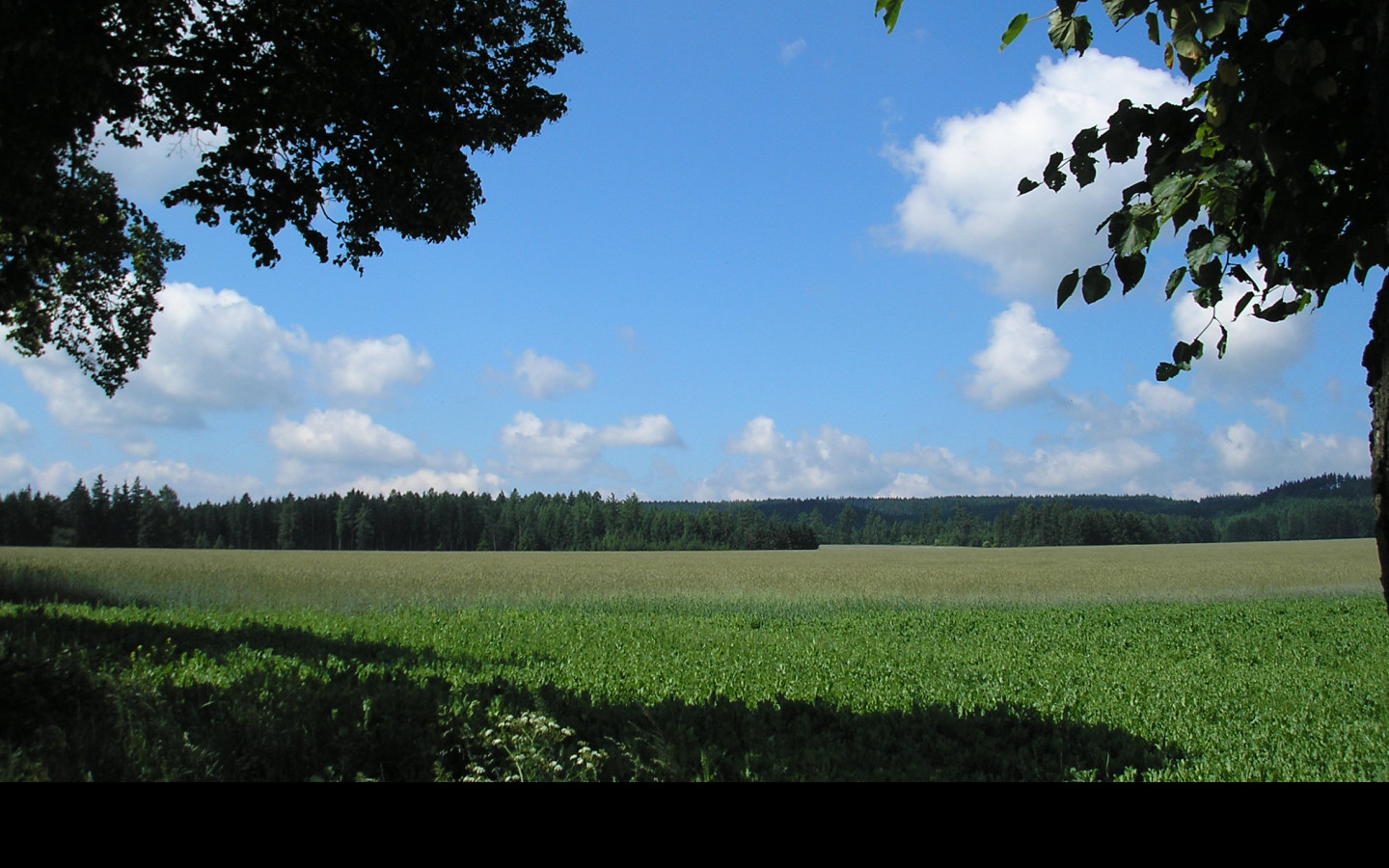 Tapeta krajina_nad_radimeri_1