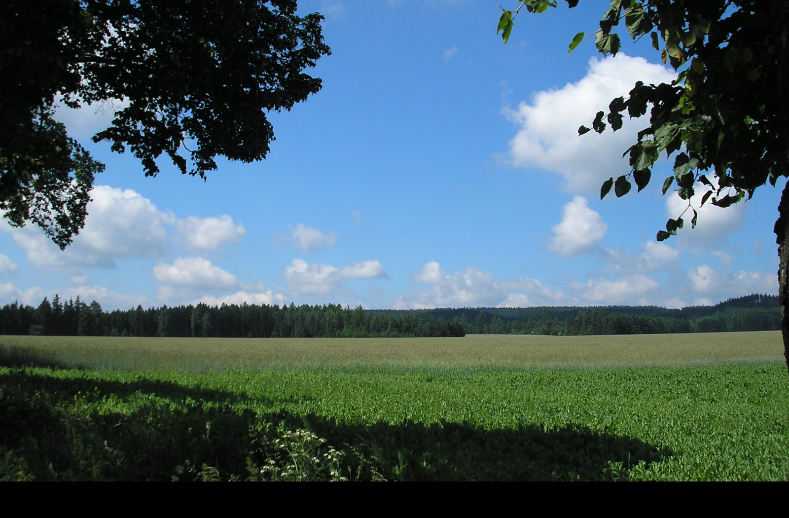 Tapeta krajina_nad_radimeri_1