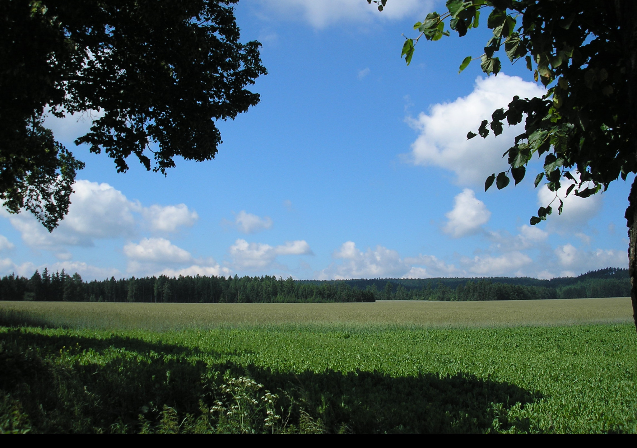 Tapeta krajina_nad_radimeri_1