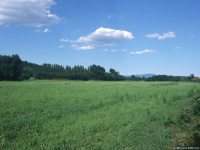Tapeta: Krajina Piemonte 2