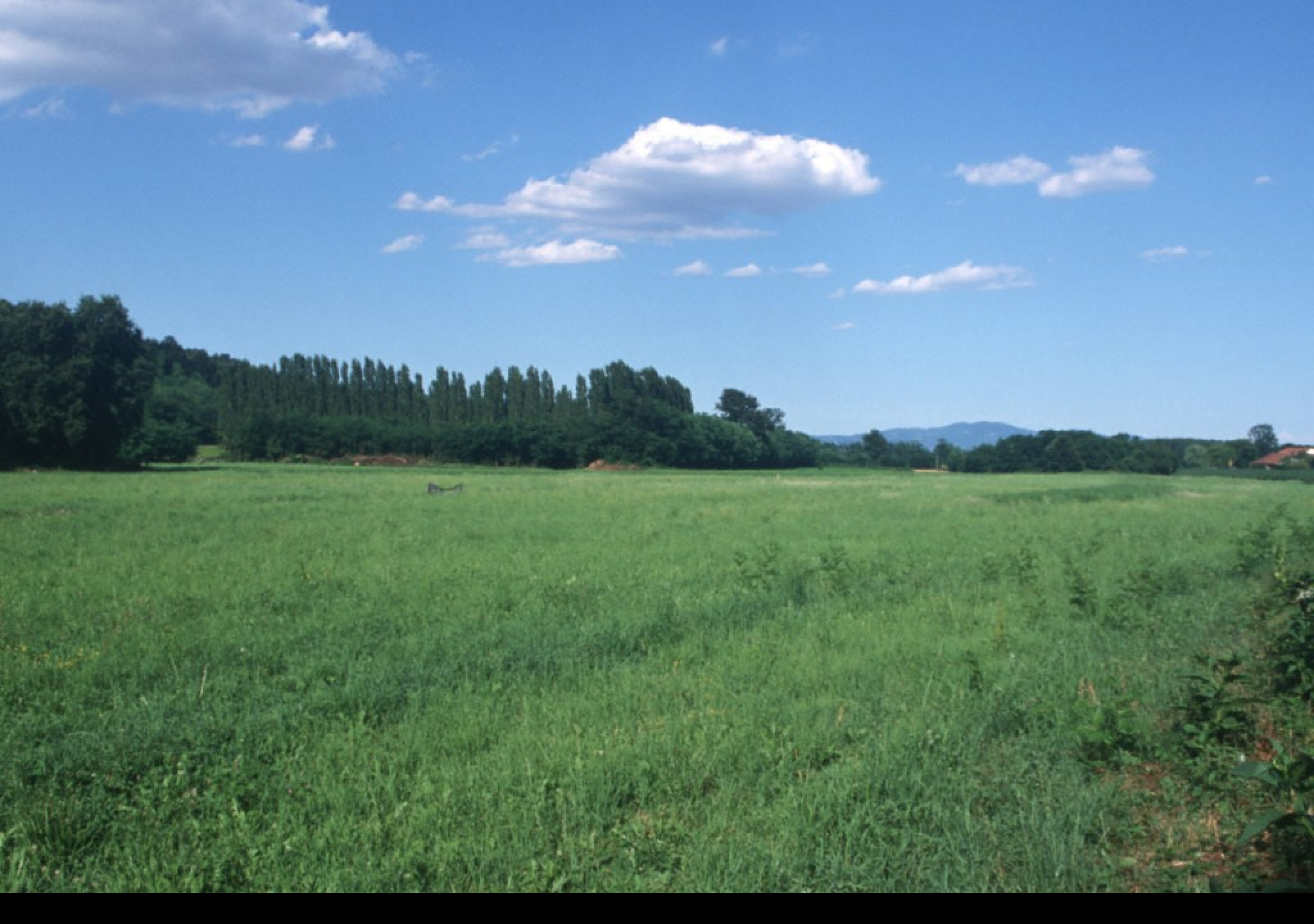 Tapeta krajina_piemonte_2