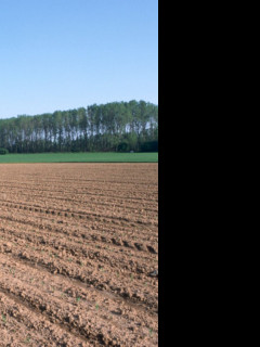 Tapeta krajina_piemonte_4