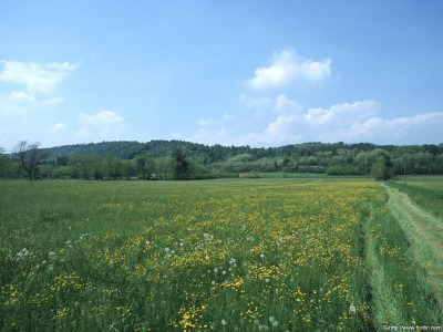 Tapeta: Krajina Piemonte 7