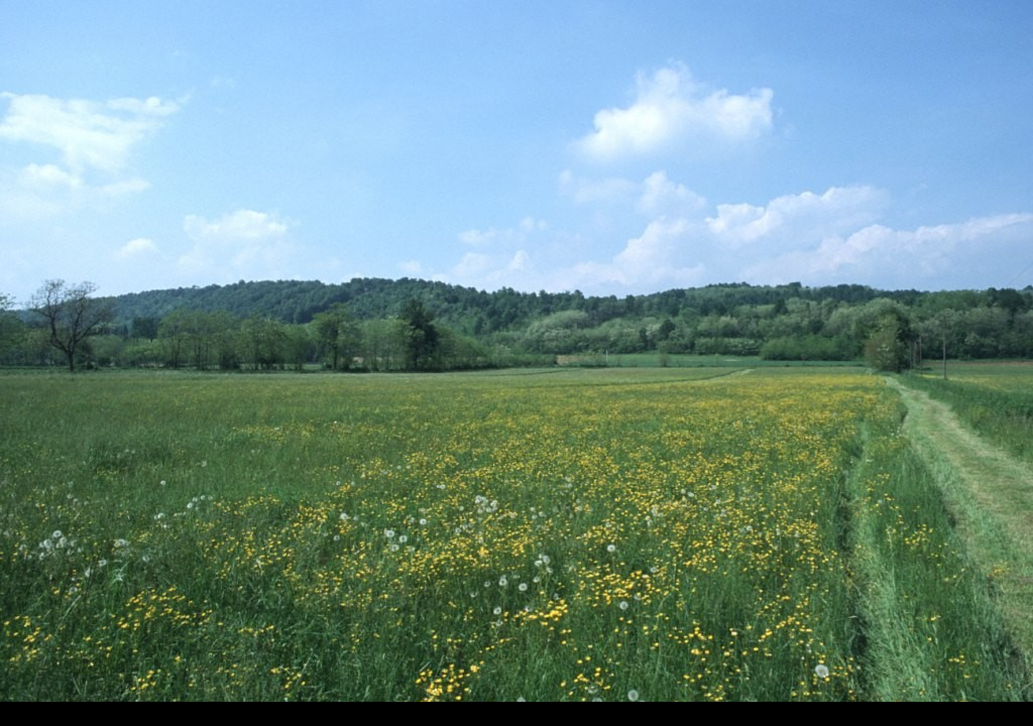 Tapeta krajina_piemonte_7