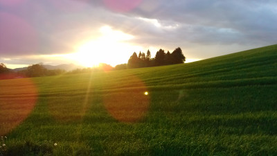 Tapeta: krajina s pozad�m Je�t�du