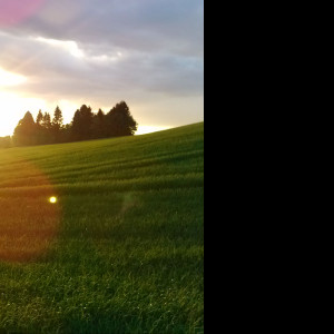 Tapeta krajina_s_pozadim_jestedu