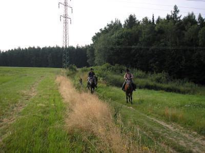 Tapeta: Krajina u Druztov-Plze sever