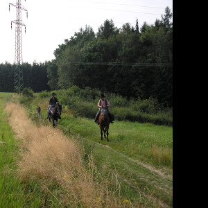 Tapeta krajina_u_druztove_plzen_sever