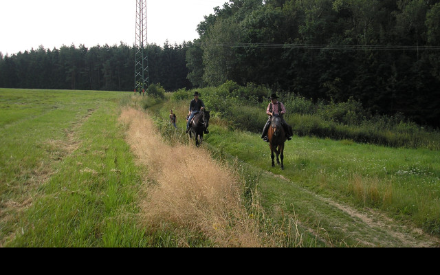 Tapeta krajina_u_druztove_plzen_sever