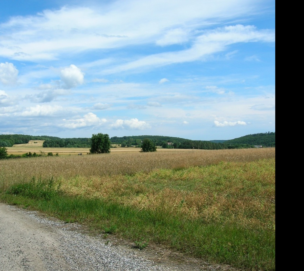 Tapeta krajina_v_rakousku